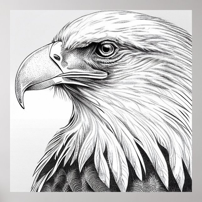 Poster Eagle Bird Wild Nature Illustration Art (Frente)