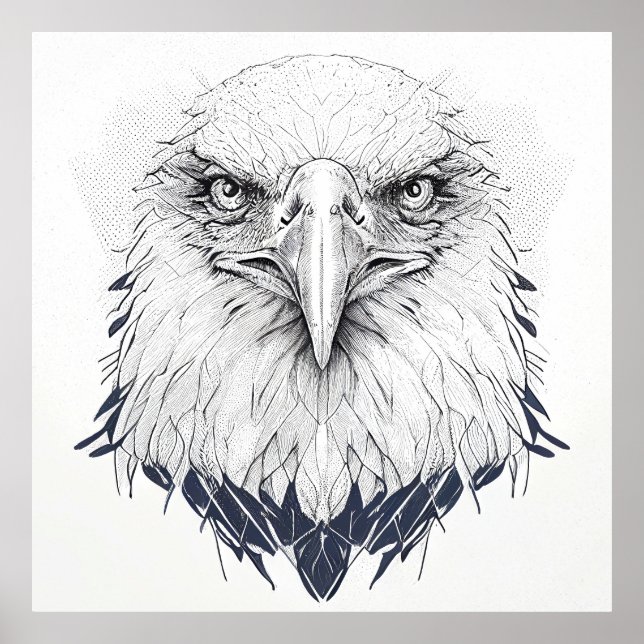 Poster Eagle Bird Wild Nature Illustration Art (Frente)