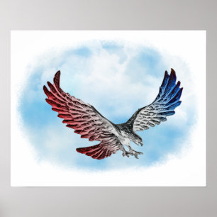 Poster Eagle branco & azul vermelho nas nuvens