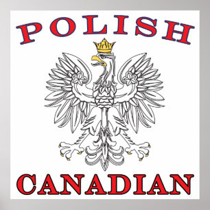 Pôster Eagle branco canadense polonês