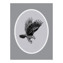 Eagle by Light   