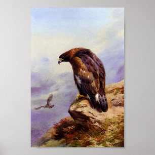 Poster Eagle dourado