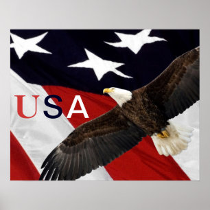 Poster Eagle e American Flag EUA