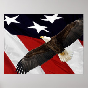 Poster Eagle em vôo sobre a bandeira americana