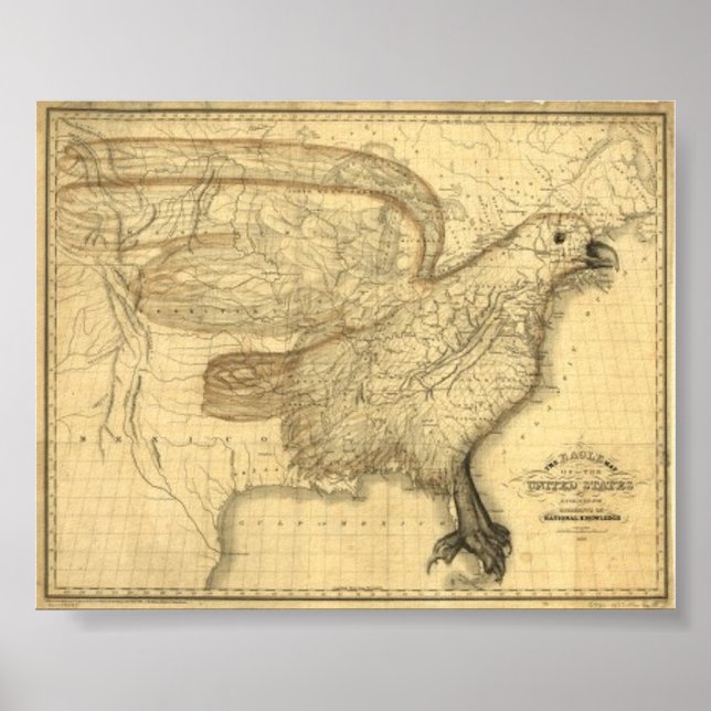 Pôster Eagle Map of the United States (Frente)