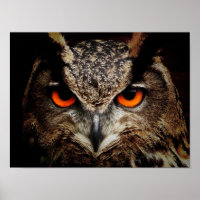 Eagle-Owl