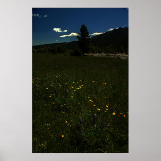 Poster Eagle Park Wildflower