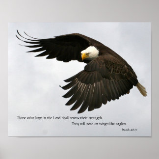 Poster Eagle Photo com Bíblia Verse