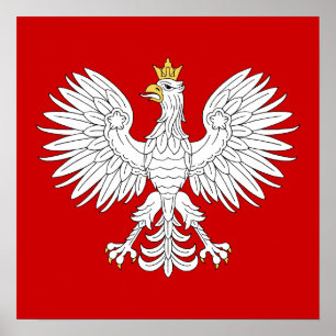 Pôster Eagle polonês