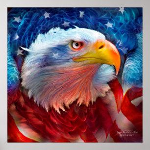 Pôster Eagle - poster/impressão azuis brancos vermelhos
