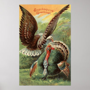 Pôster Eagle que ataca uma Turquia