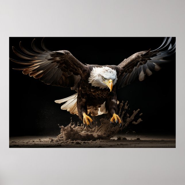 Poster Eagle Wild Animal Retrait Nature Beauty (Frente)