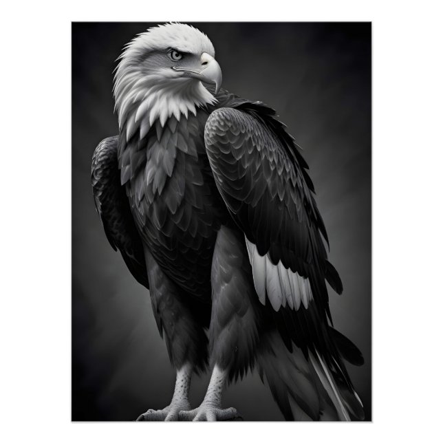 Pôster Eagle Wildlife Maiúscula Wallpaper da Nature (Frente)