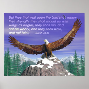 Pôster Eagles II