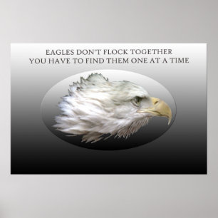 Poster Eagles não voa junto