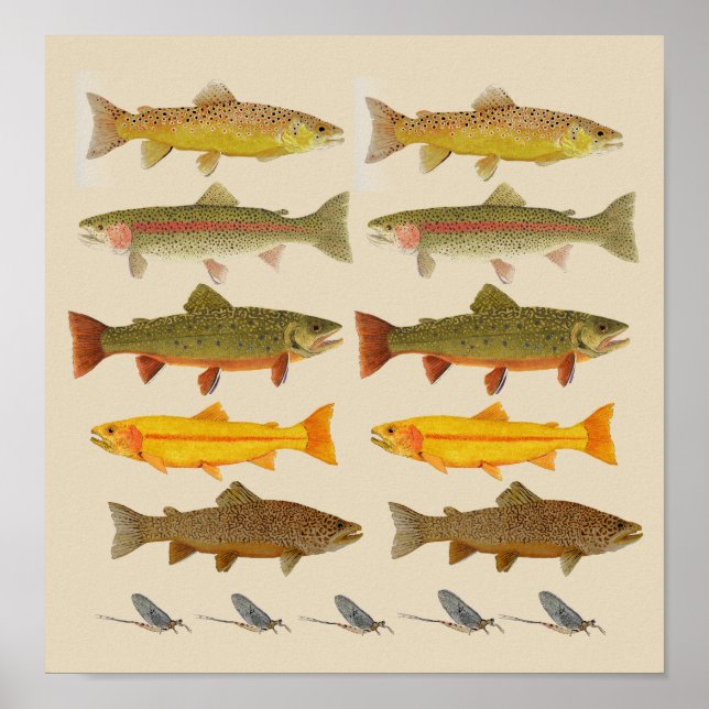 Poster East Coast Trout Jems (Frente)