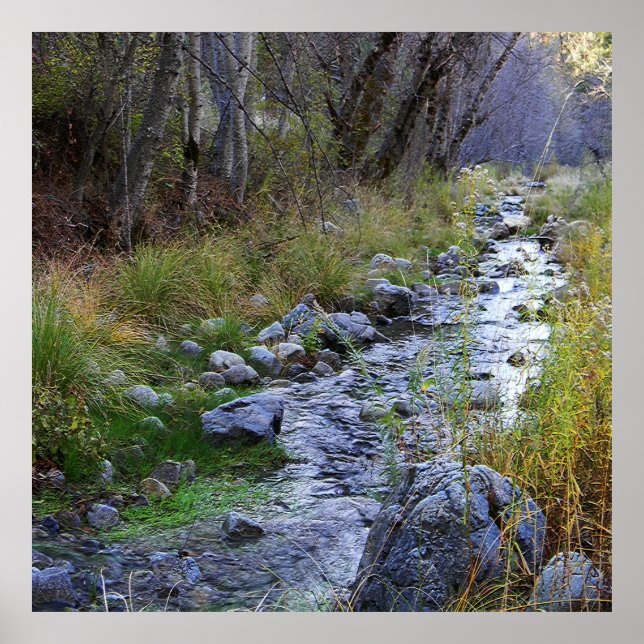 Poster East Fork/Hayfork Creek...... (Frente)