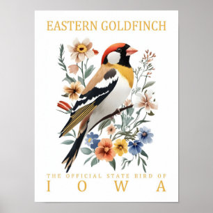 Poster East Goldfinch Bird, Viagem do Iowa USA