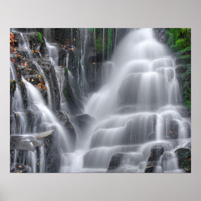 Poster Eastatoide Falls (Frente)