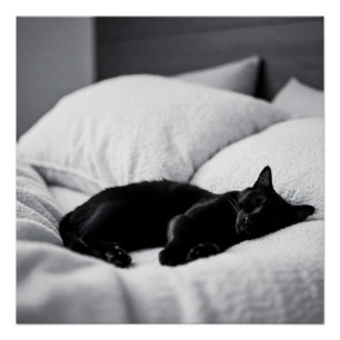 Pôster Ebony Dreams: Conforto e Charme Felino