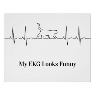 Pôster ECG de Gatos
