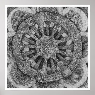 Poster Echinidermatéria