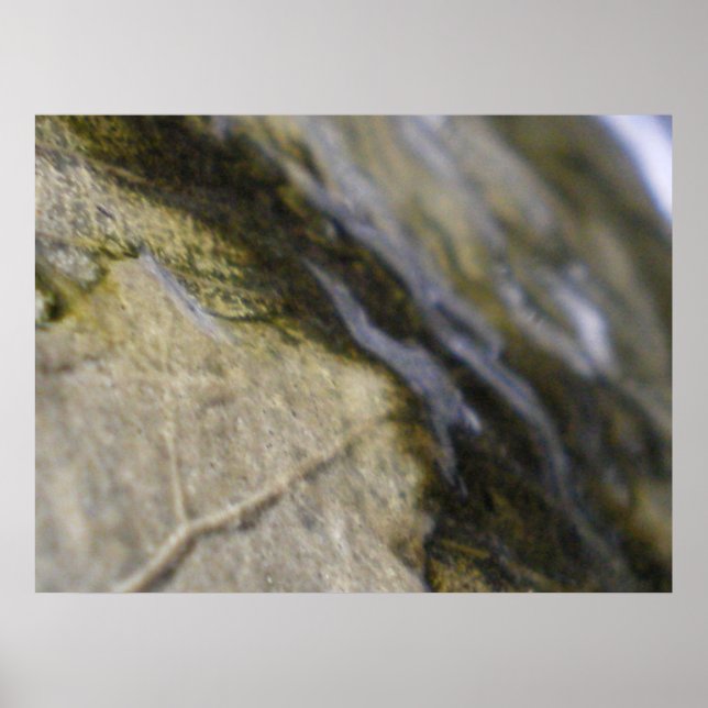 Poster Eclipse (Frente)