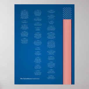 Poster Econo USA Constituição Bandeira Americana