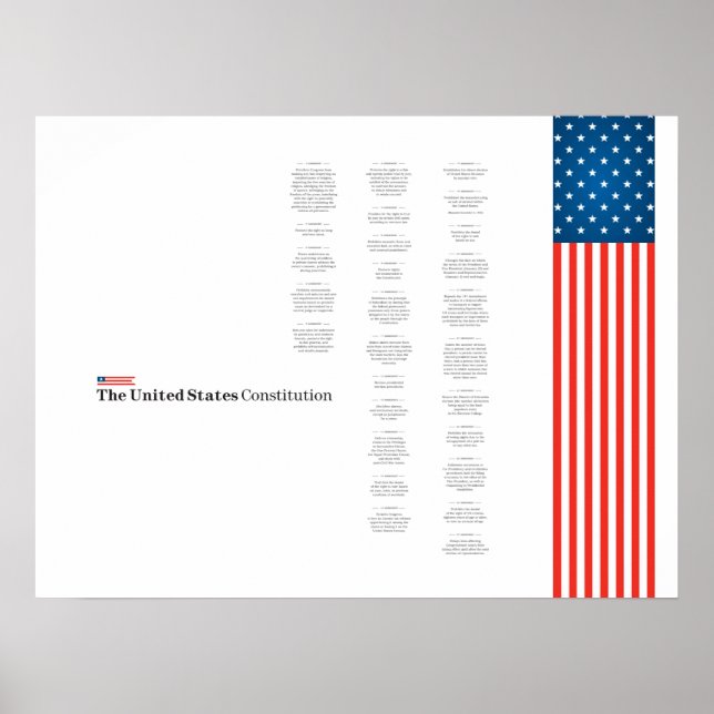 Poster Econo USA Constituição Bandeira Americana (Frente)