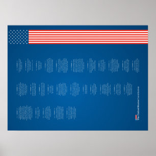 Poster Econo USA Constituição Bandeira Americana