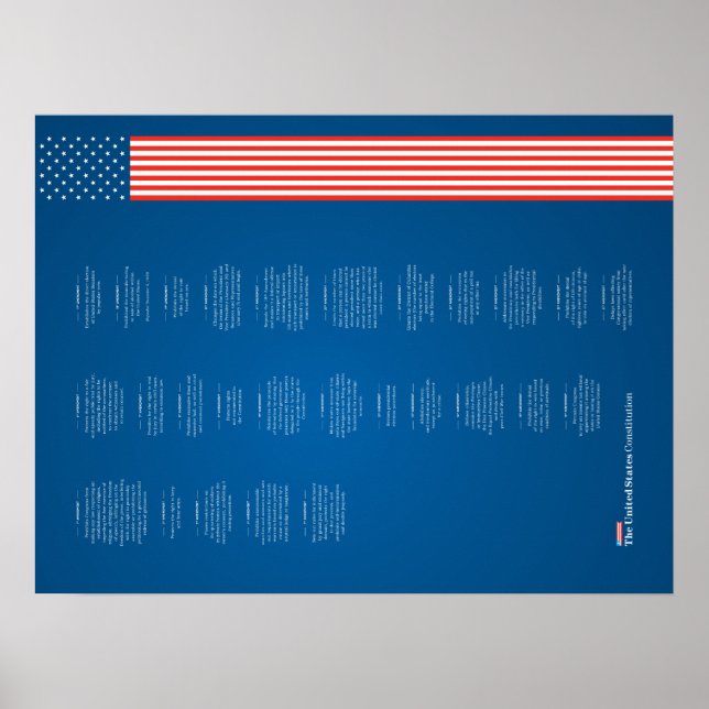 Poster Econo USA Constituição Bandeira Americana (Frente)