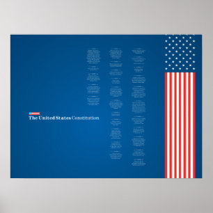 Poster Econo USA Constituição Bandeira Americana