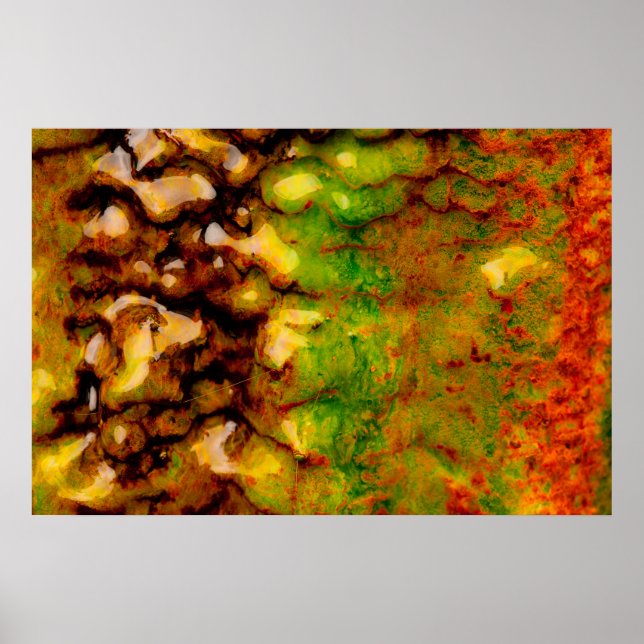 Pôster ecossistema térmico (Frente)