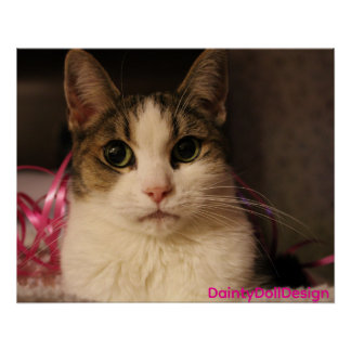 Pôster Edição Fita Rosa: Dainty Doll em Retrato Suave