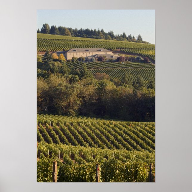 Pôster Edifício de bronzeamento da Archery Summit em cima (Frente)