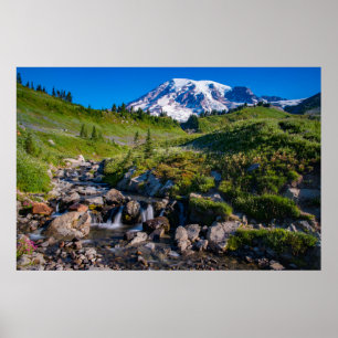 Poster Edith Creek e Monte Rainier Morning Light