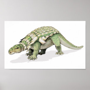 Pôster Edmontonia - carteira do dinossauro blindado