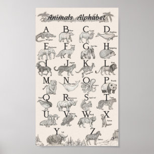 Poster Educação por alfabeto animal