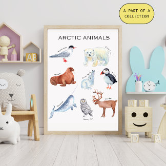 Pôster Educativo de Animais do Ártico