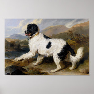 Poster Edwin Henry Landseer Leão — Um Cachorro Da Te