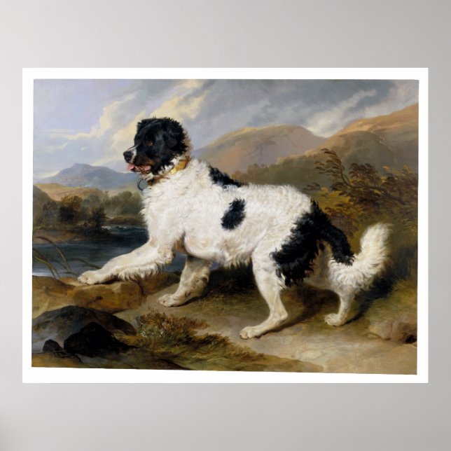 Poster Edwin Henry Landseer Lion A Newfoundland Dog (Frente)