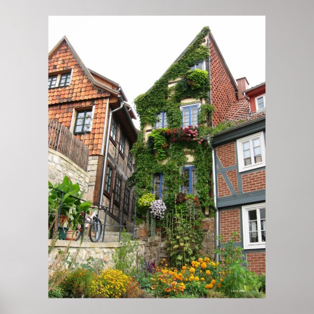 Pôster efeito estufa (Frente)