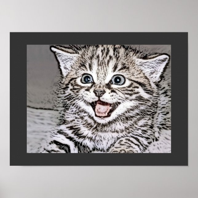 Pôster Efeitos de fotocópia em gatinhos felizes (Frente)