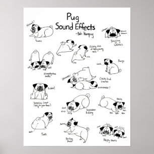 Pôster Efeitos sadios do Pug