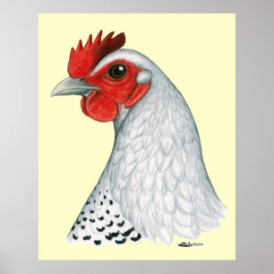Poster Egípcio Fayoumi: Silver Hen