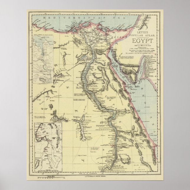 Pôster Egito 13 (Frente)