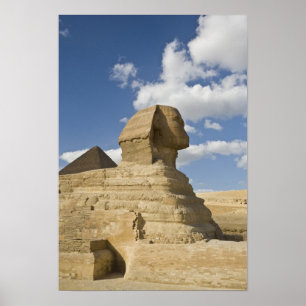 Poster Egito, Giza. O excelente Sphynx sobe acima do