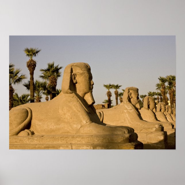 Poster Egito, Luxor. A Avenida de Esfinges leva a (Frente)