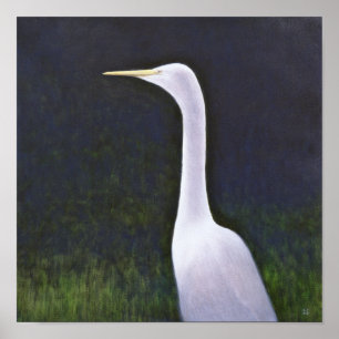Pôster Egret Branco