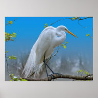 Egret do excelente em uma árvore